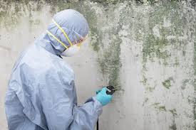 Best Emergency Mold Remediation in Canal Winchester, OH